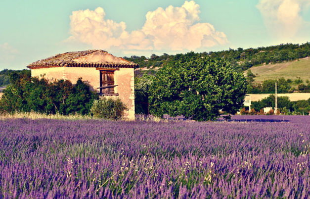 location provence