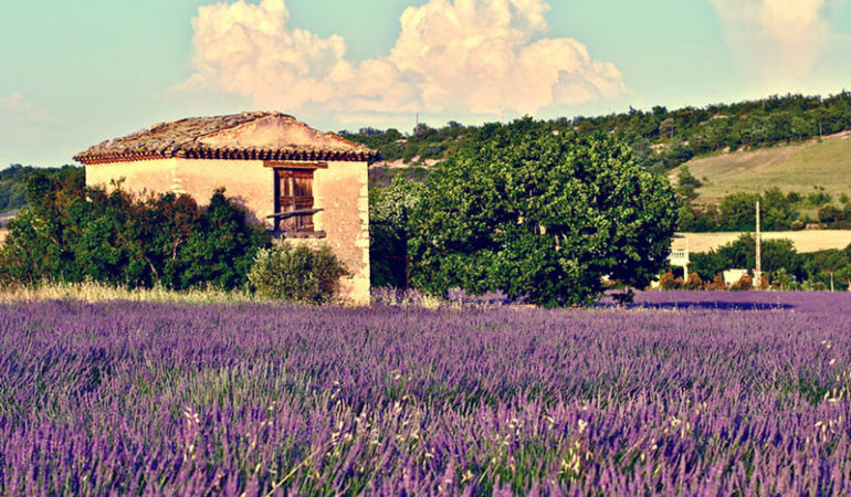 location provence