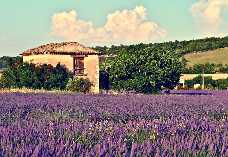 location provence